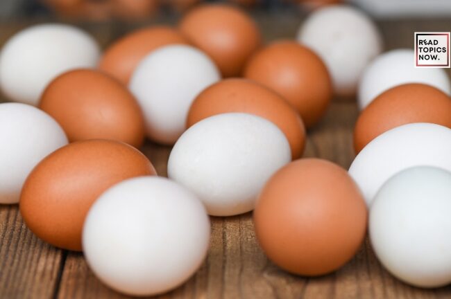 difference between brown and white eggs