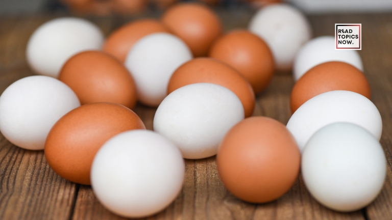 difference between brown and white eggs