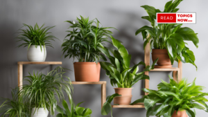 The Best Indoor Plants to Improve Your Home’s Air Quality